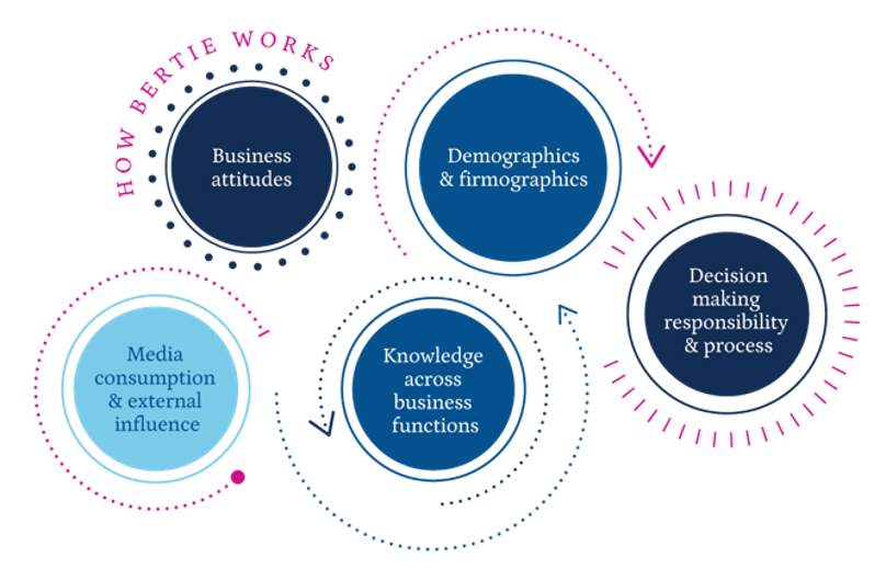 delineate how bertie works